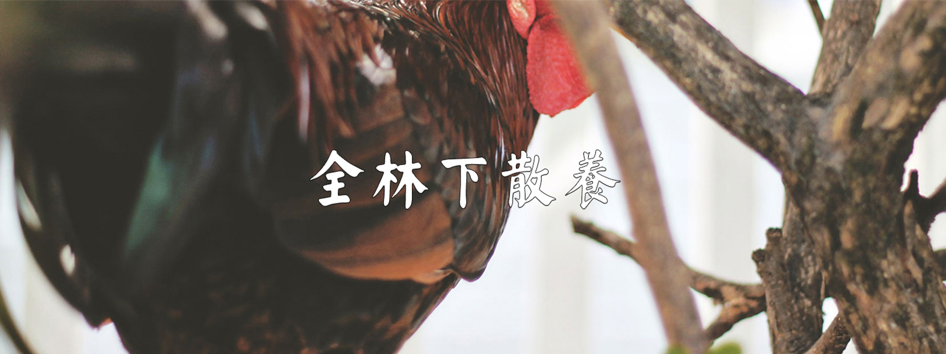 重慶明吉農產品配送有限公司